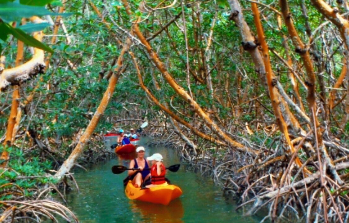 Photo of Others in Twin Lakes