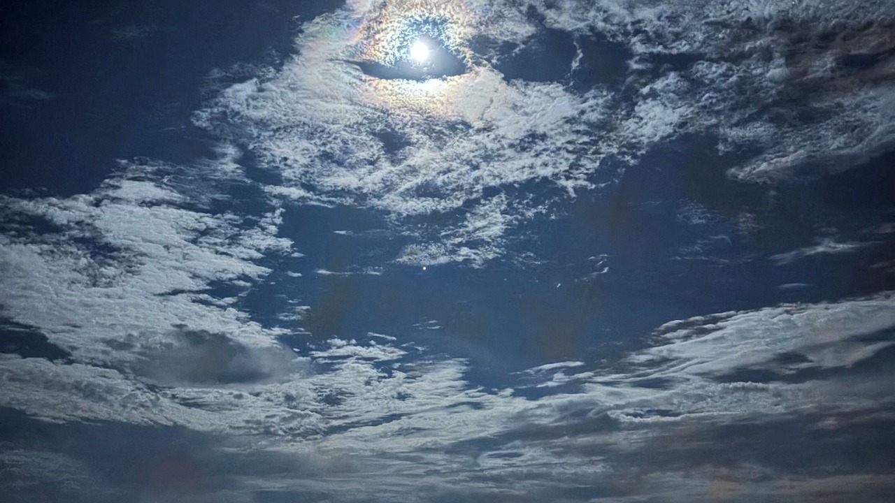 Photo of Others in Hutchinson Island South