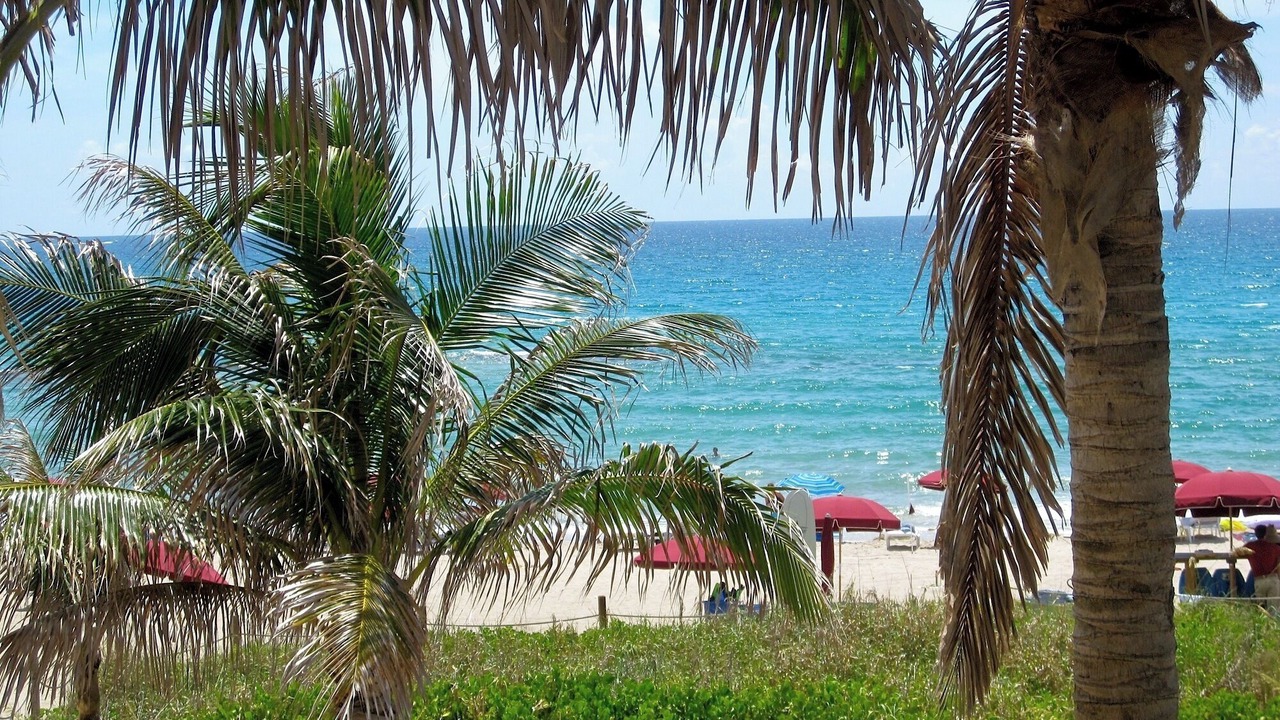 Photo of Others in Singer Island