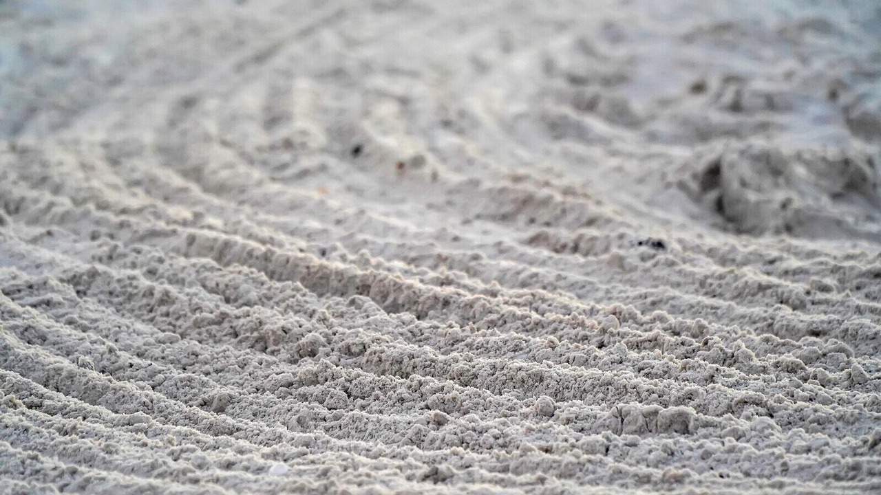 Photo of Others in Fort Myers Beach