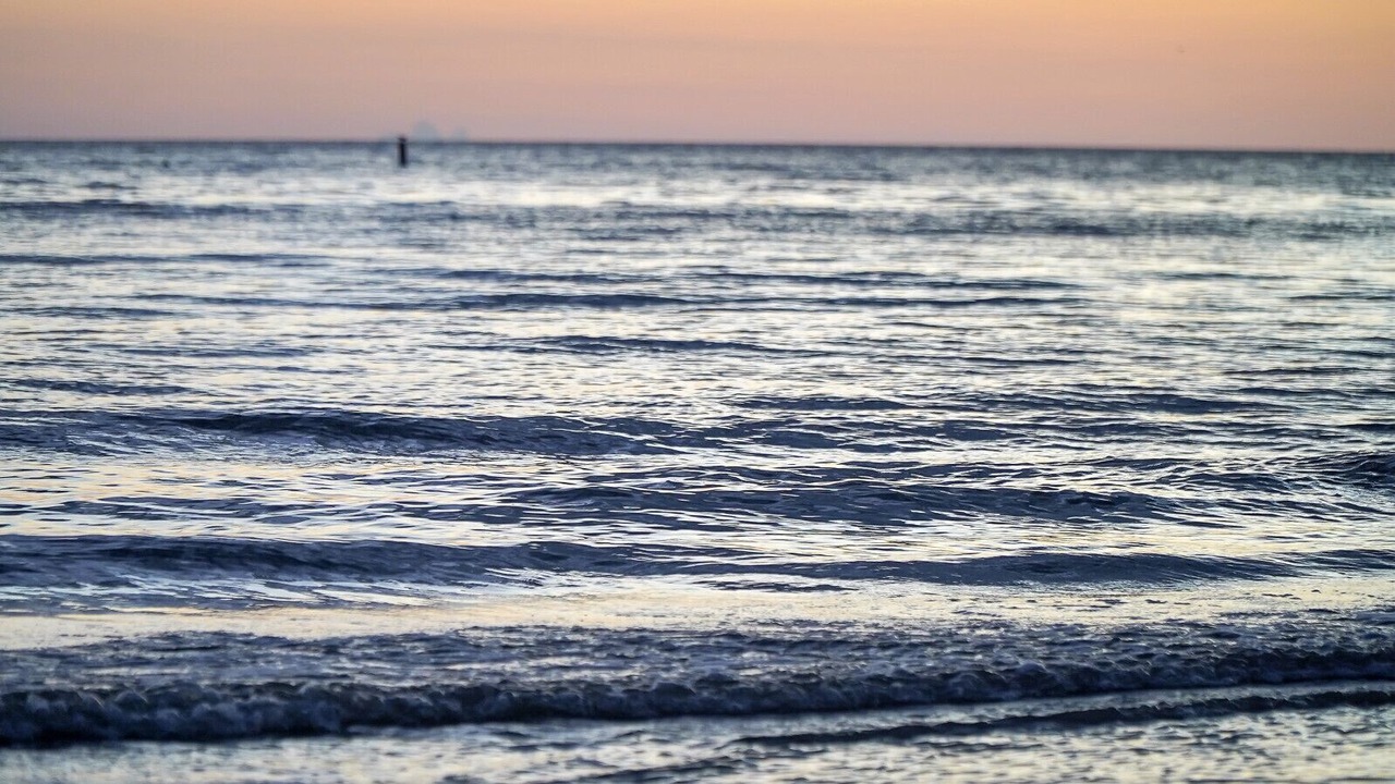 Photo of Others in Fort Myers Beach