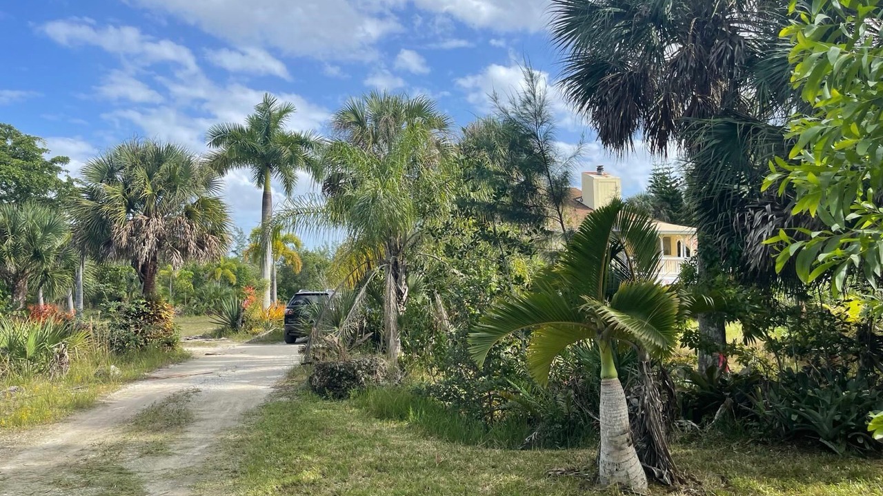Photo of Outdoor in Saint James City