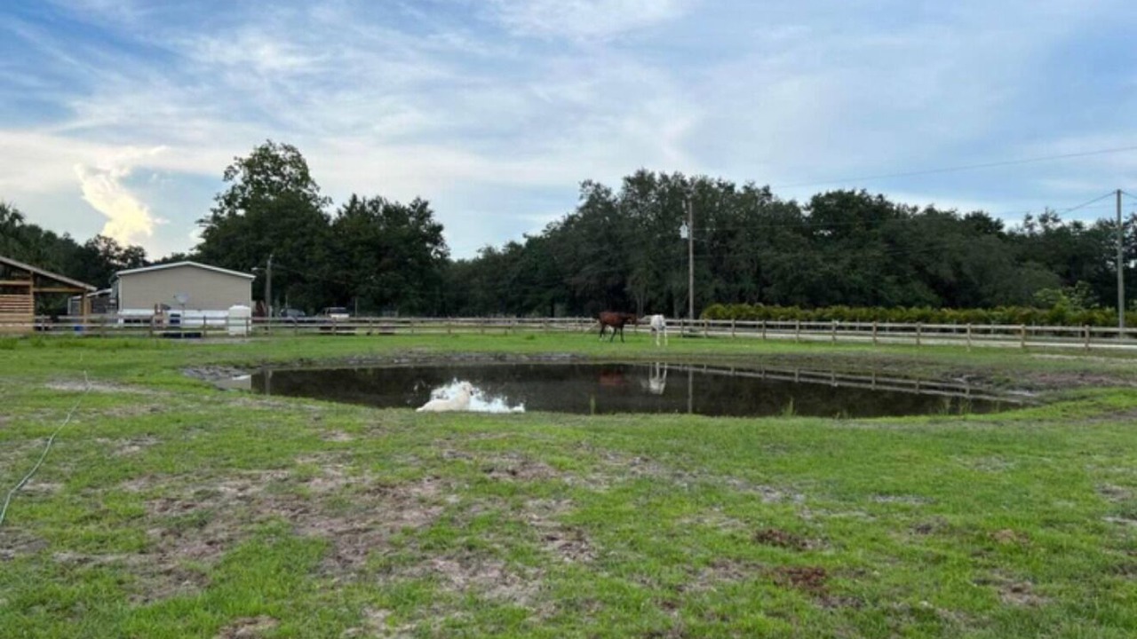 Photo of Others in Immokalee