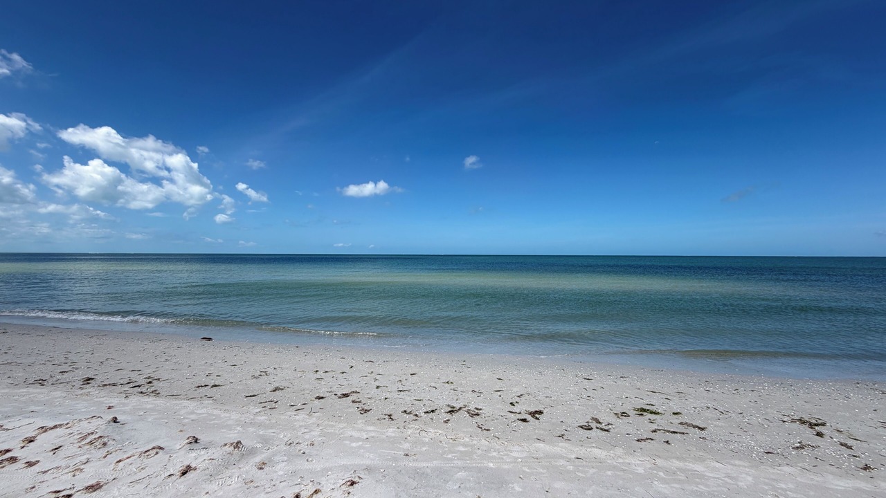 Photo of Others in Mid Island