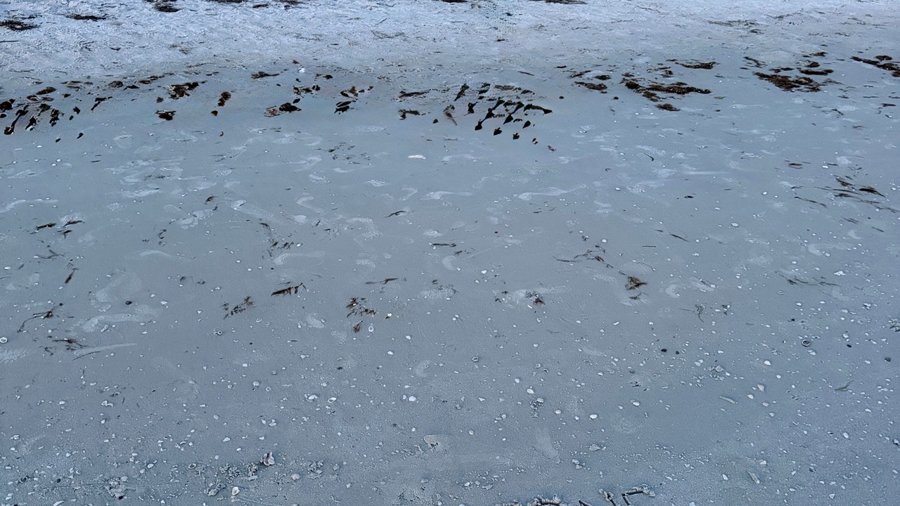 Photo of Others in Mid Island