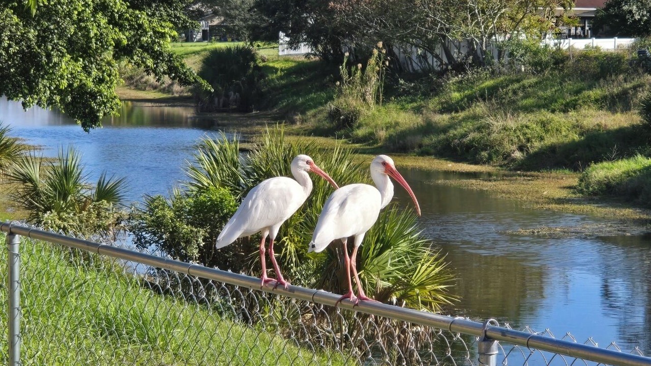 Photo of Others in Port Saint Lucie