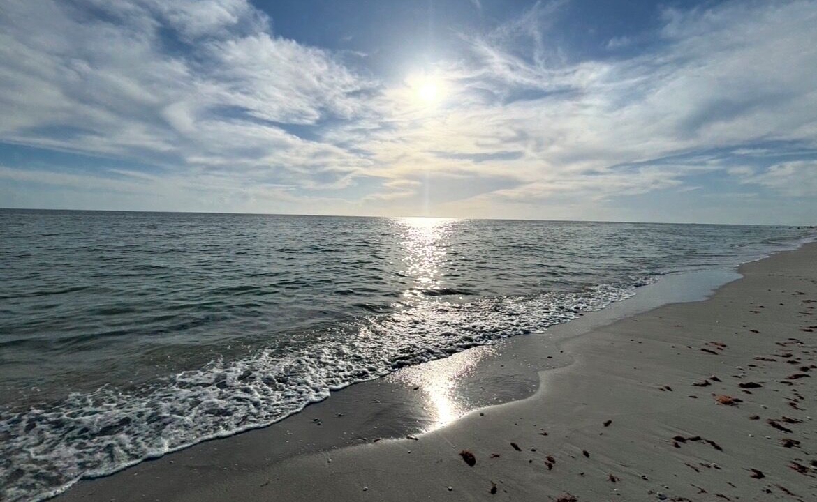 Photo of Others in Sanibel