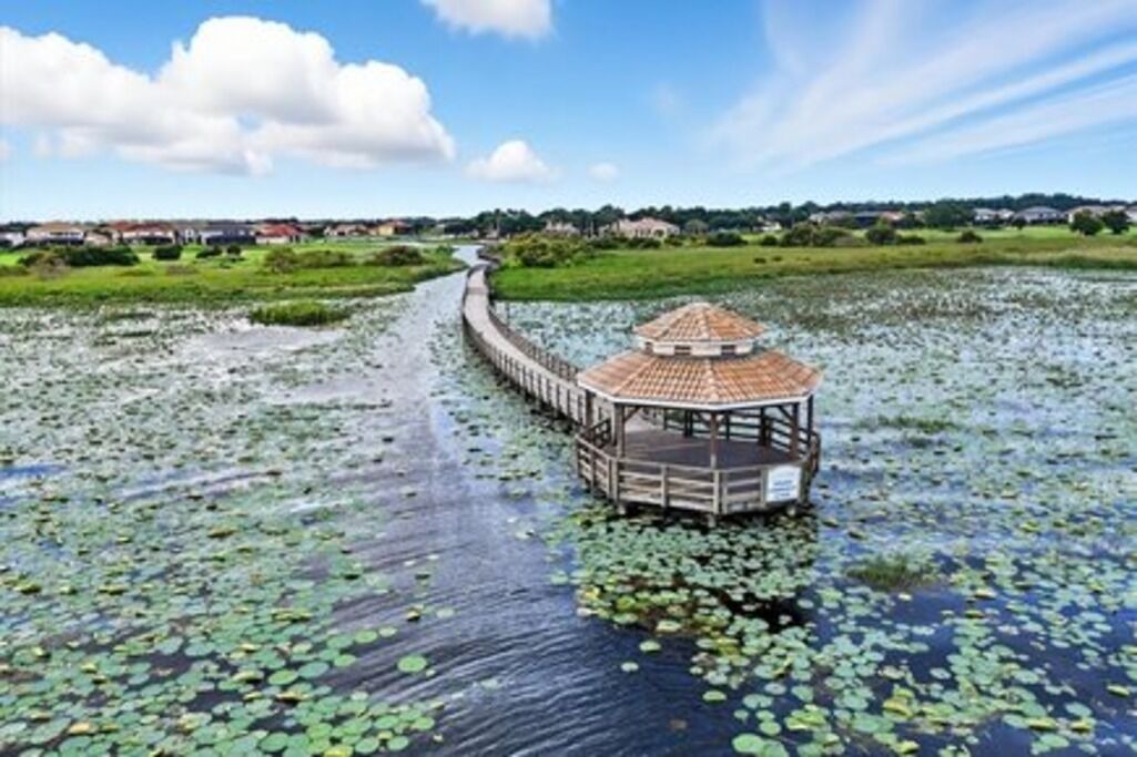 Photo of Outdoor in Kissimmee