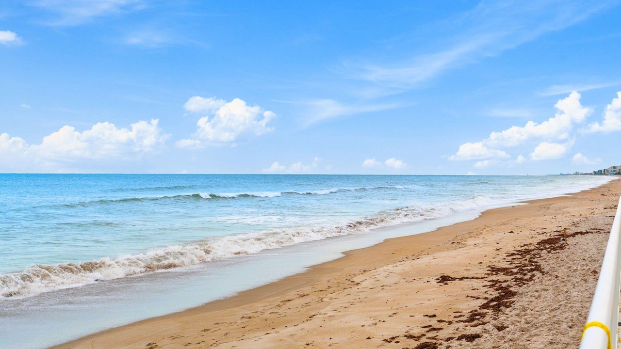 Photo of Others in South Patrick Shores