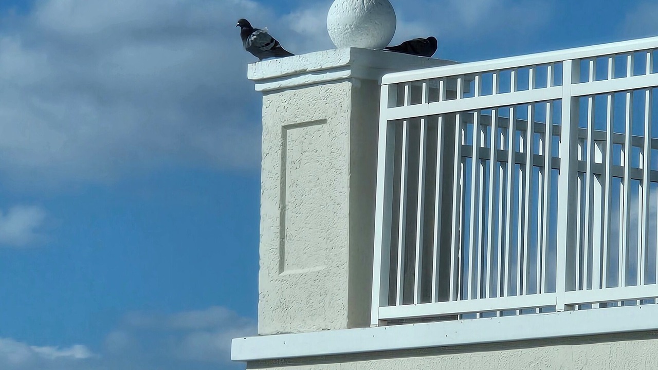 Photo of Others in Boynton Beach