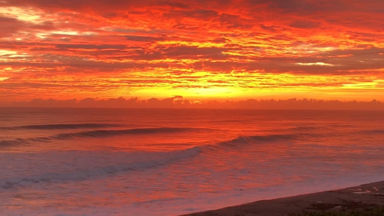 Photo of Others in Jupiter Bay