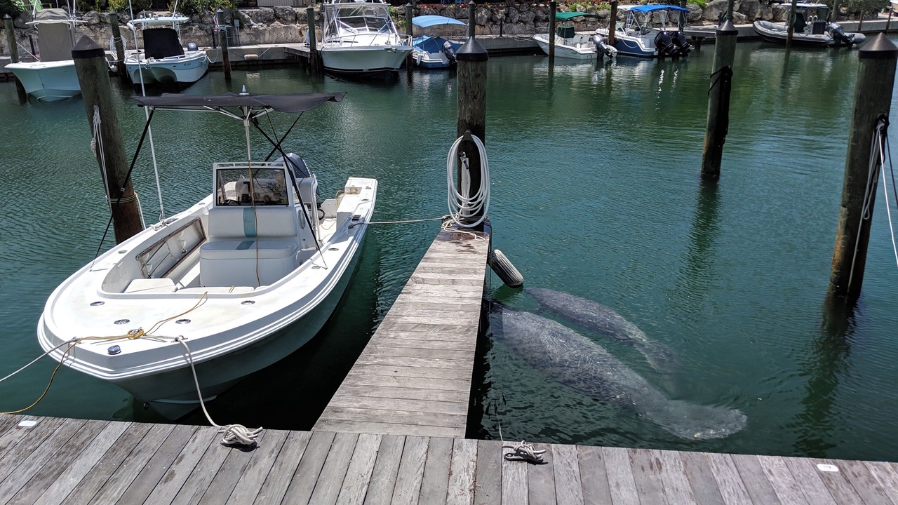 Photo of Others in Key Largo