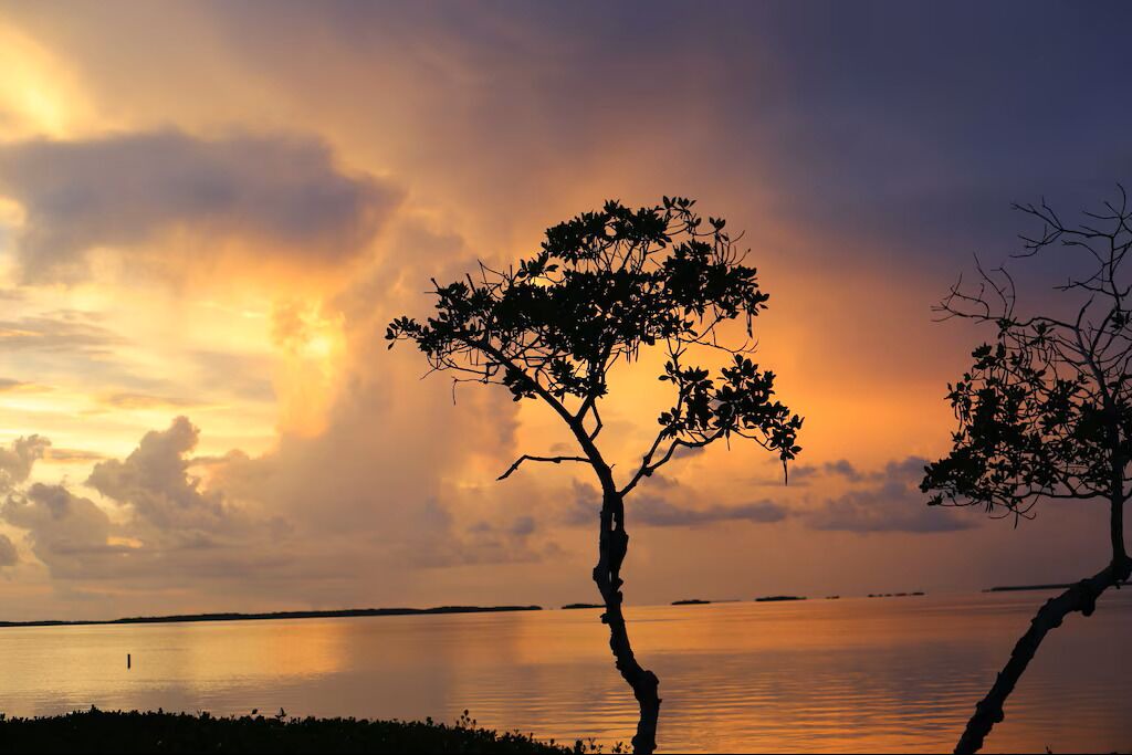Photo of Others in Key Largo