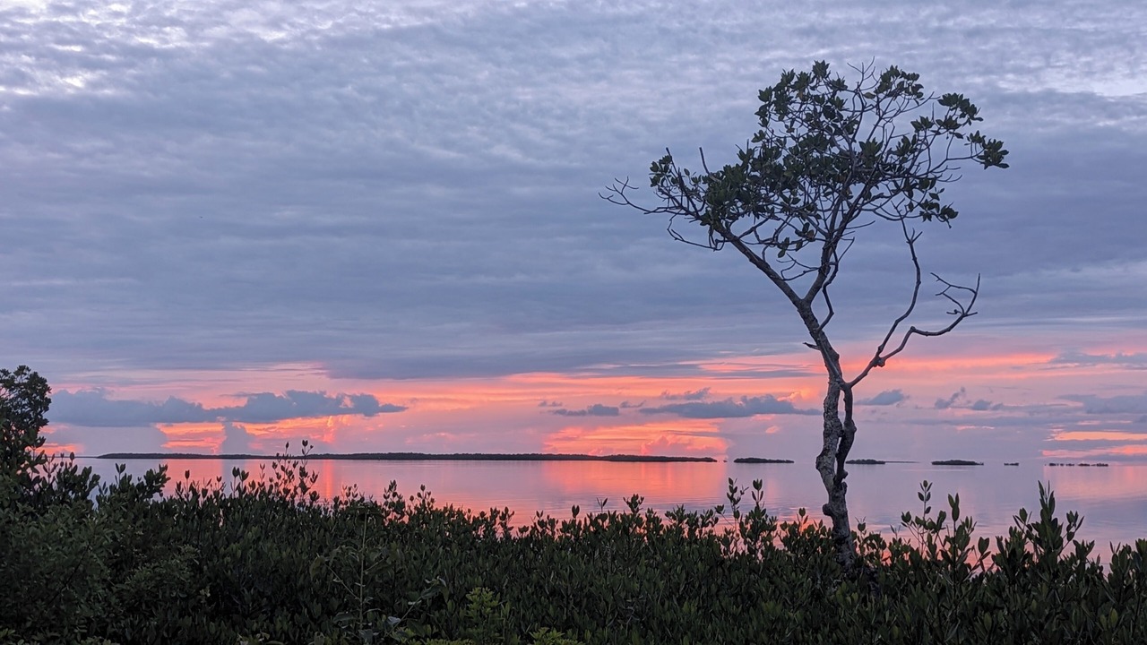 Photo of Others in Key Largo