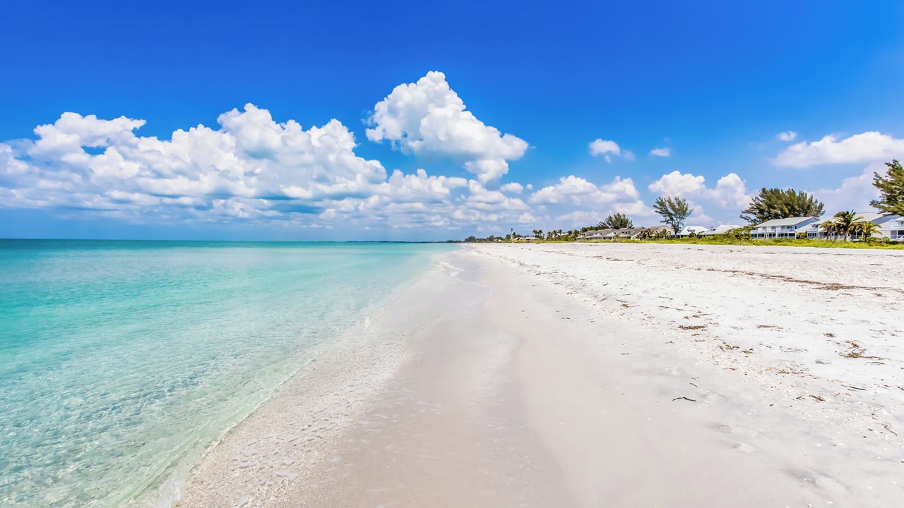 Photo of Others in Boca Grande