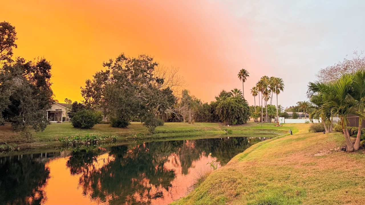 Photo of Others in Bayou Oaks