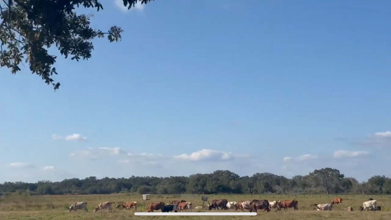Photo of Others in River Ranch