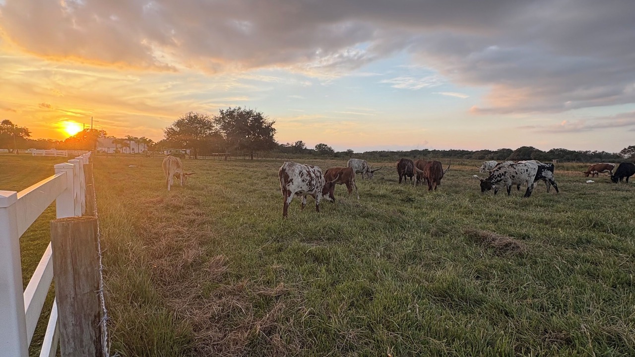 Photo of Others in River Ranch