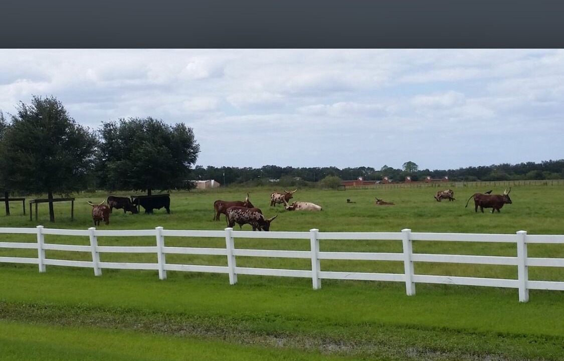 Photo of Others in River Ranch
