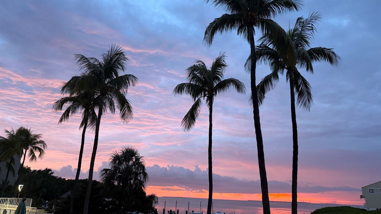 Photo of Others in Islamorada