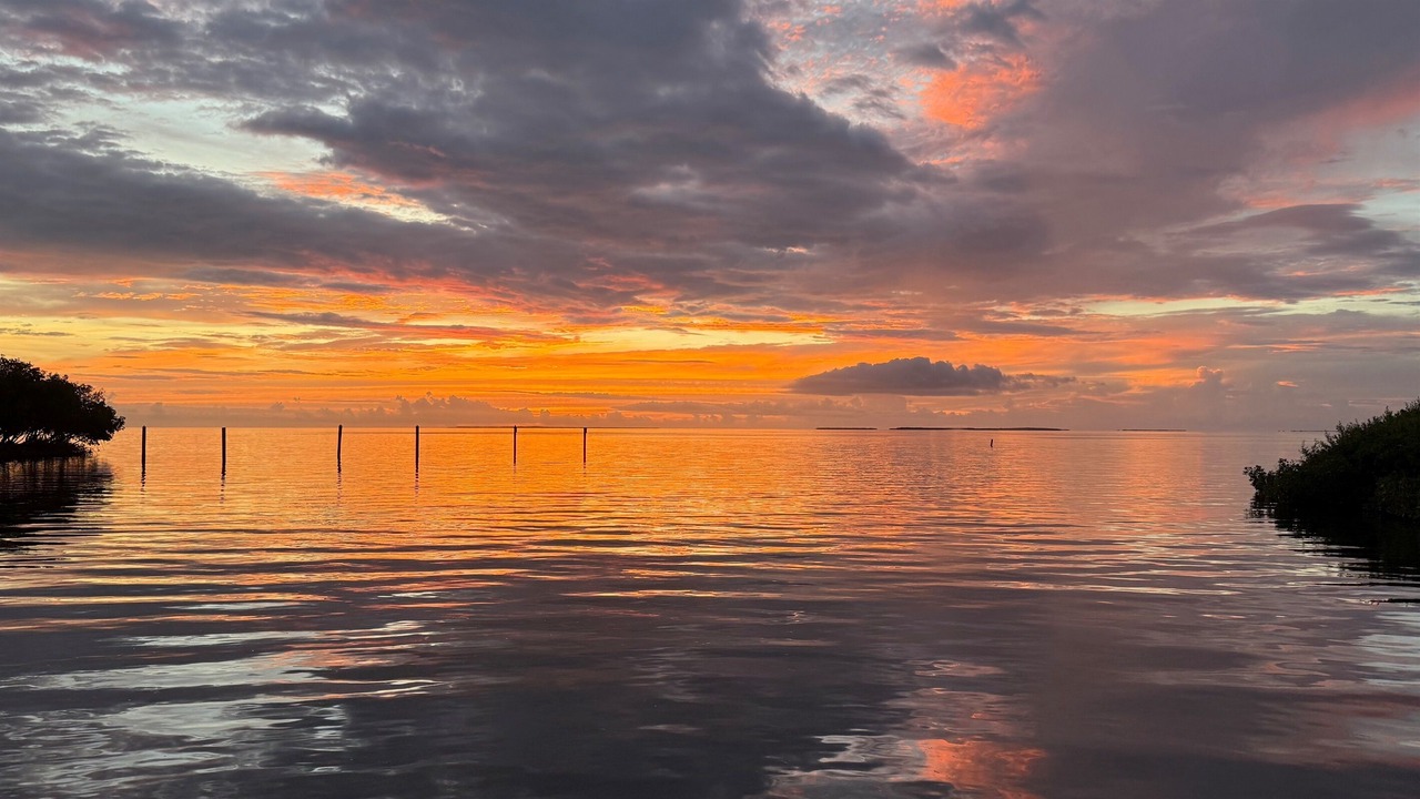 Photo of Others in Islamorada