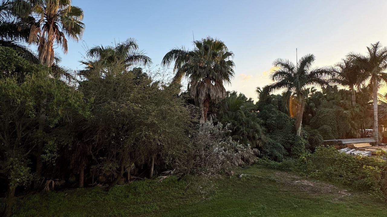 Photo of Others in Doral