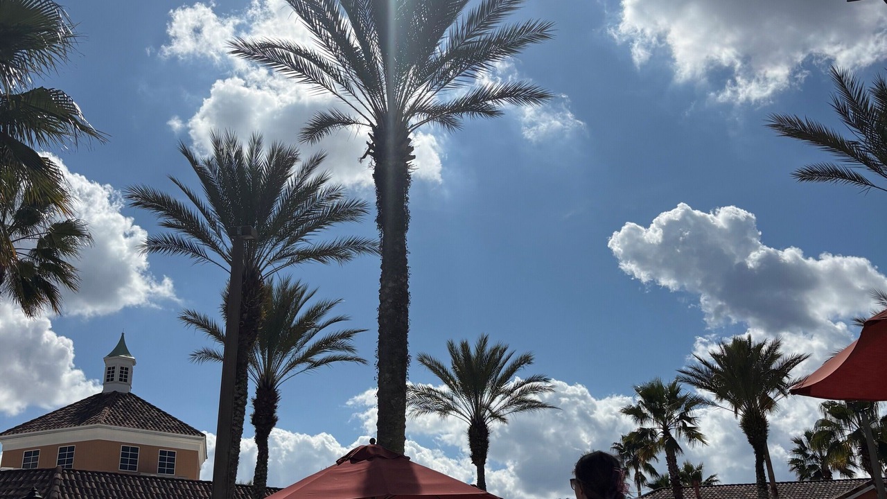 Photo of Outdoor in Regal Palms