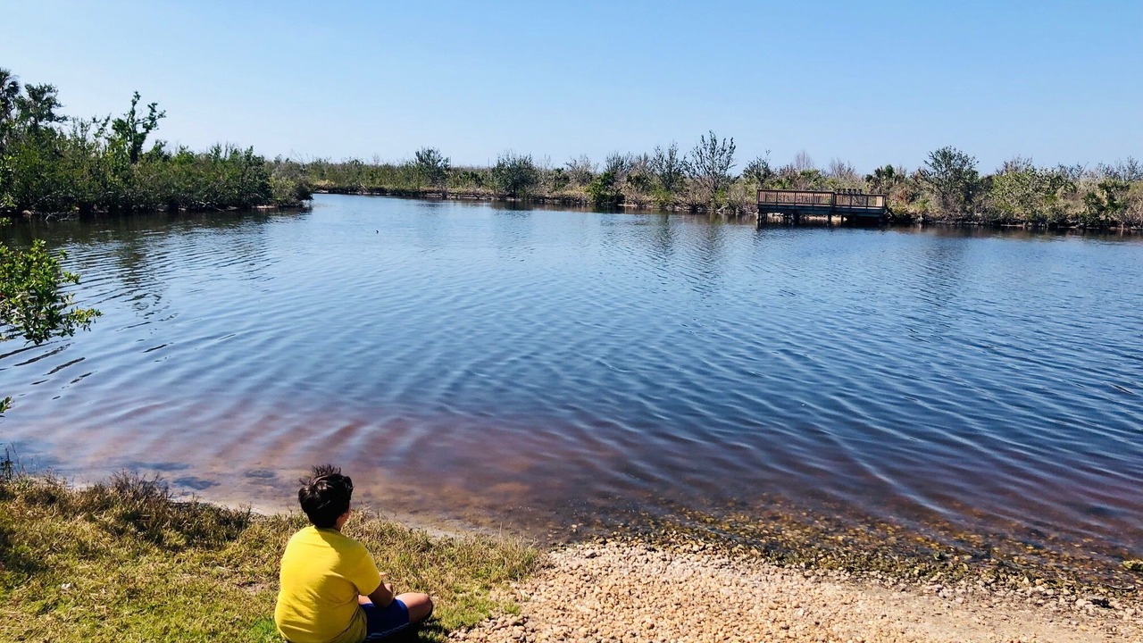 Photo of Others in Flamingo Bay