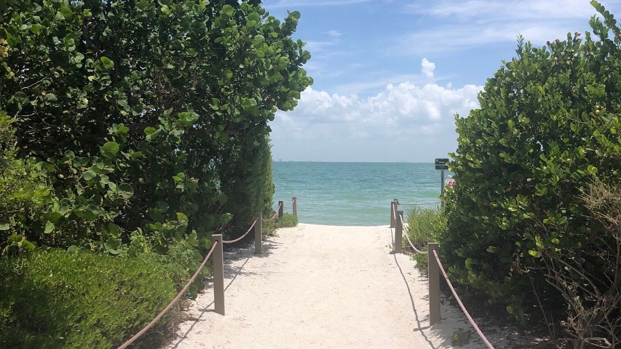 Photo of Others in Flamingo Bay