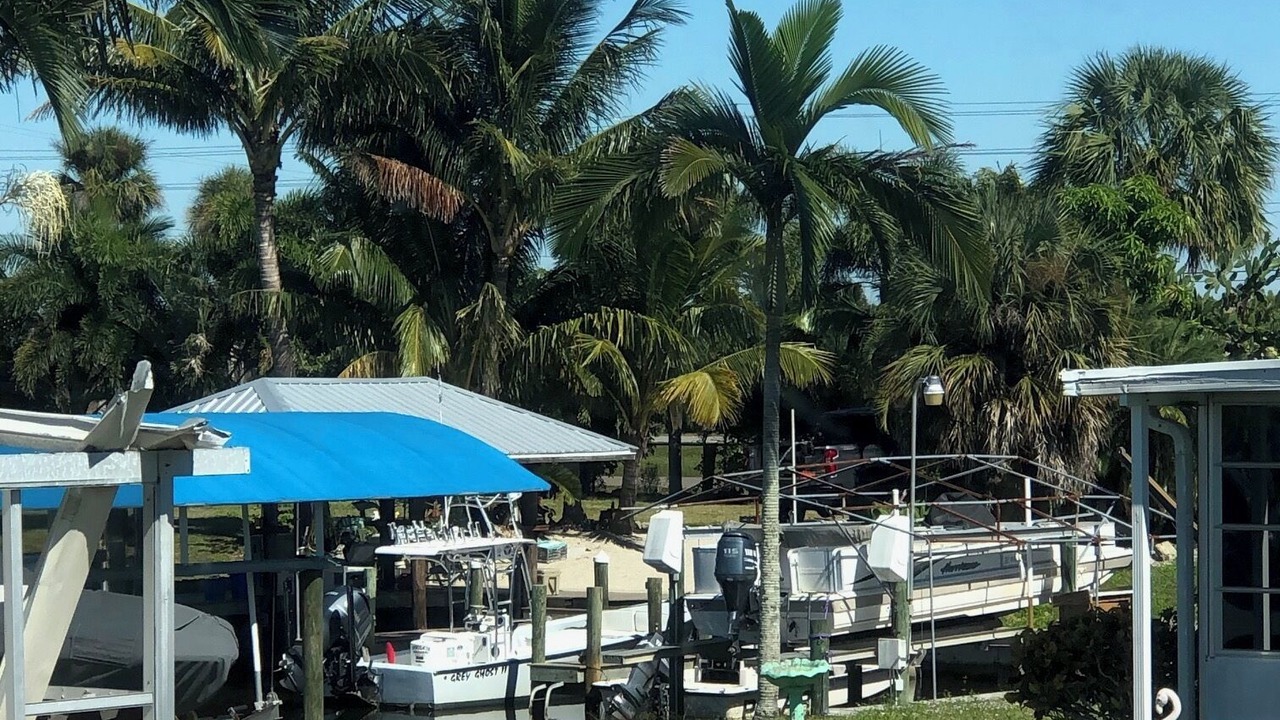 Photo of Others in Flamingo Bay