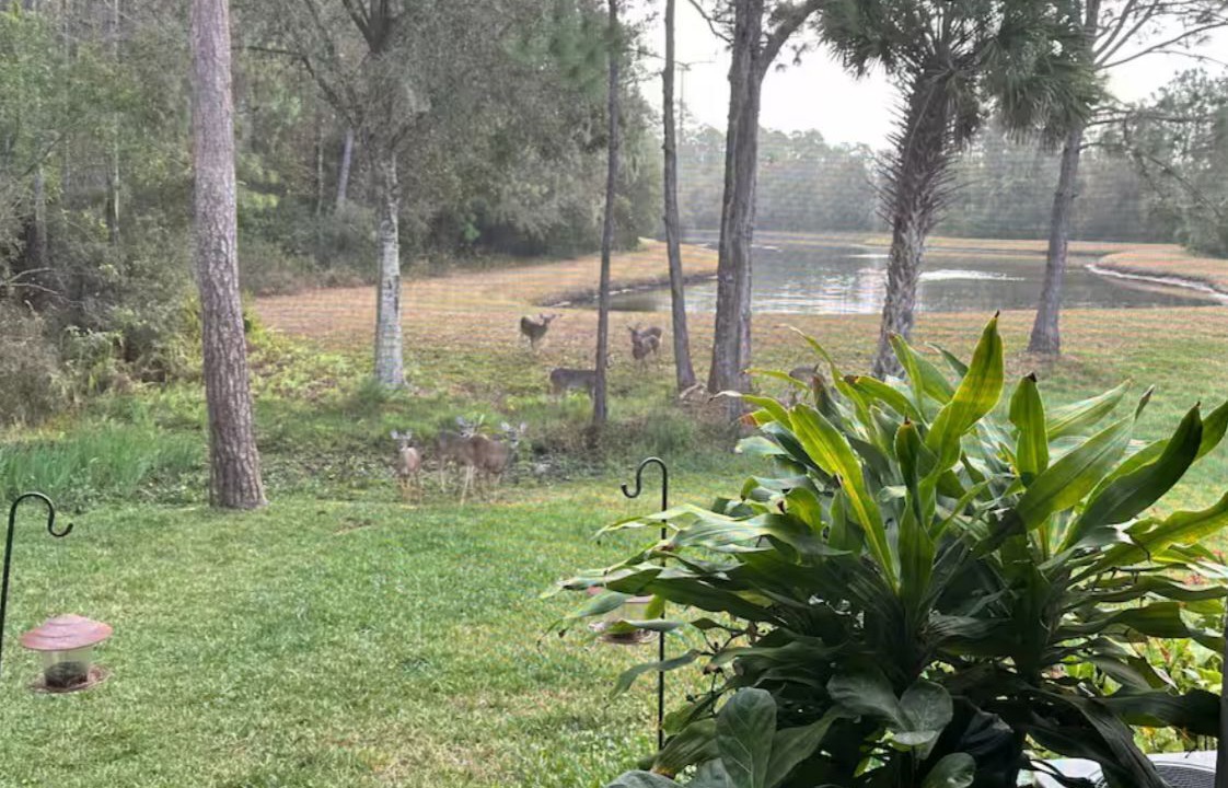 Photo of Outdoor in Westchase