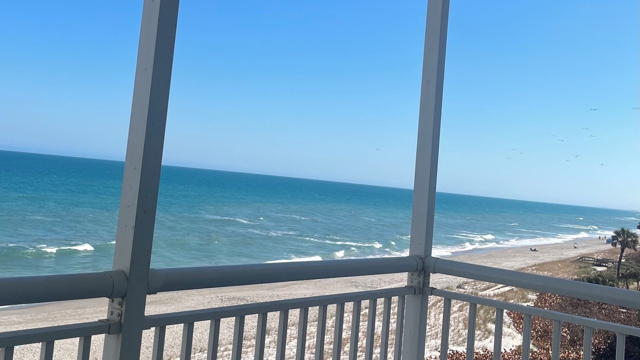 Photo of Outdoor in South Patrick Shores