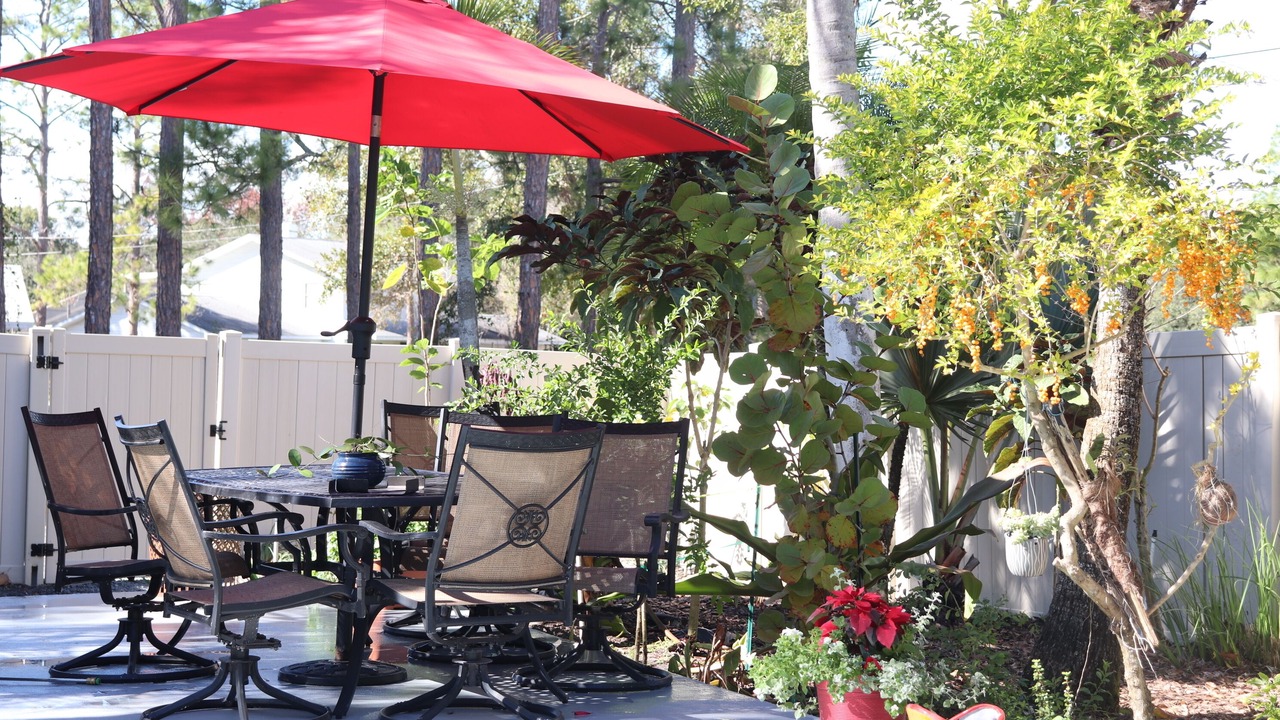Photo of Outdoor in Westchase