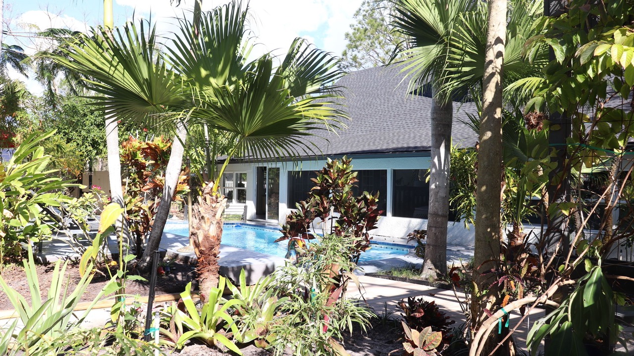 Photo of Outdoor in Westchase