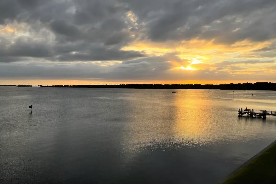 Photo of Others in St. Petersburg - Clearwater