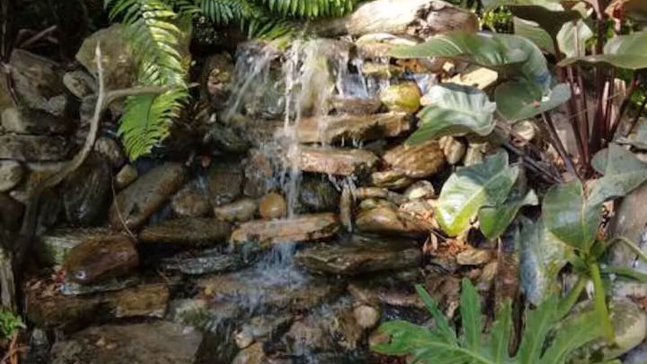 Photo of Outdoor in Clearwater