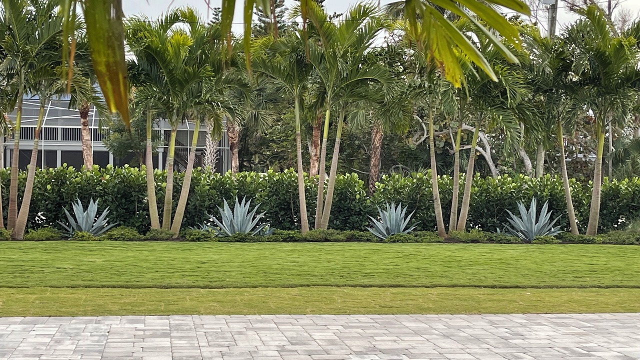 Photo of Outdoor in Sanibel