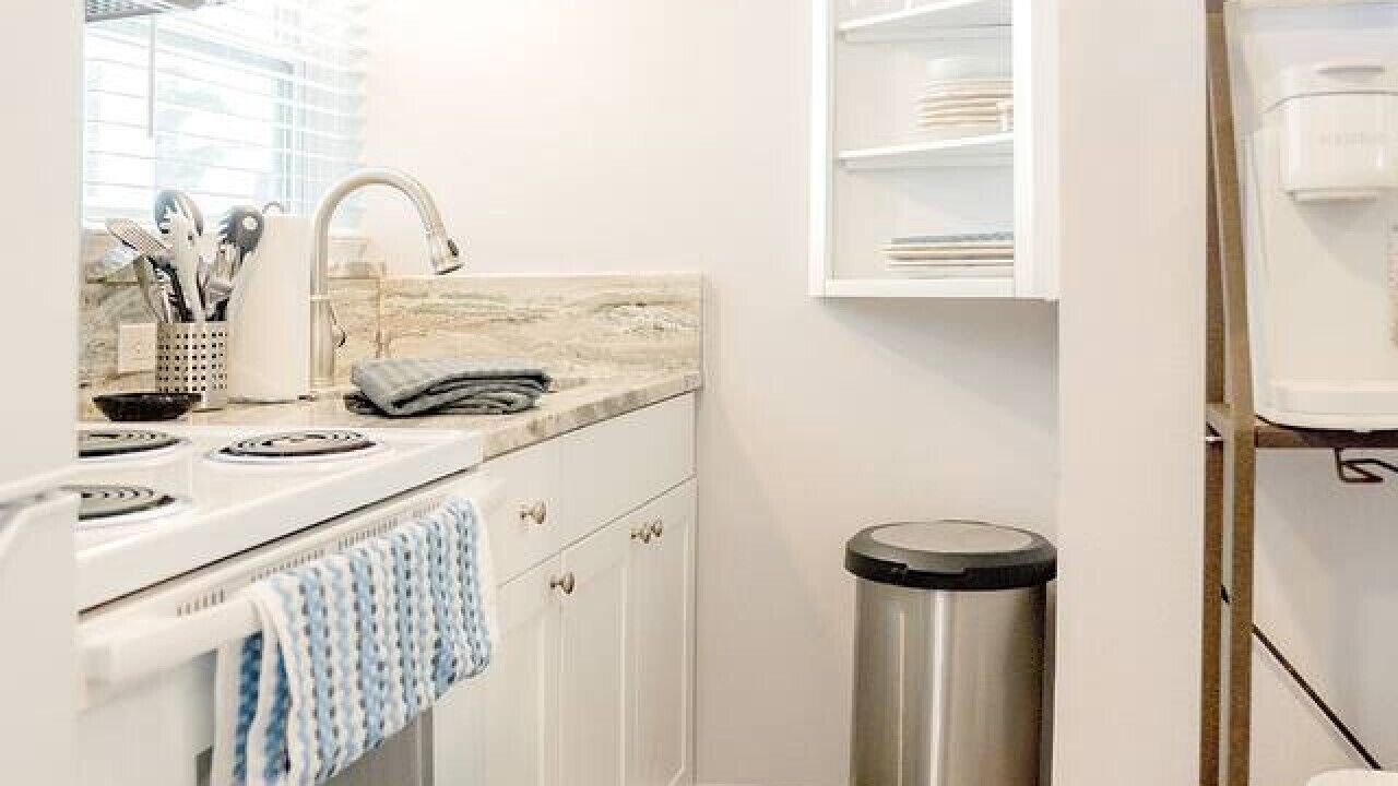 Photo of Kitchen in Dunedin