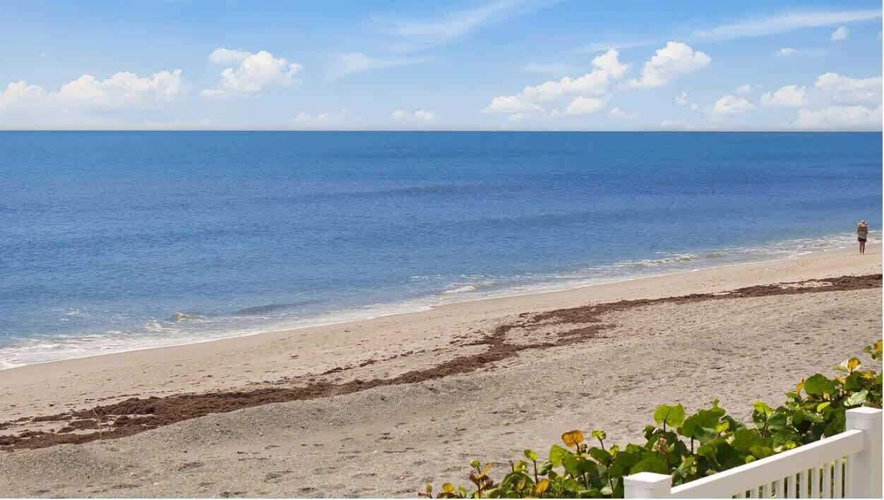 Photo of Others in South Patrick Shores