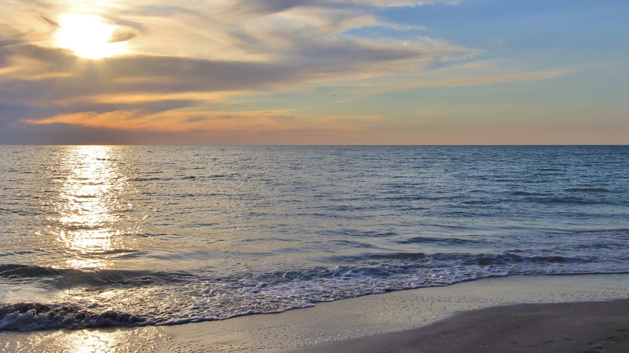 Photo of Others in Redington Beach