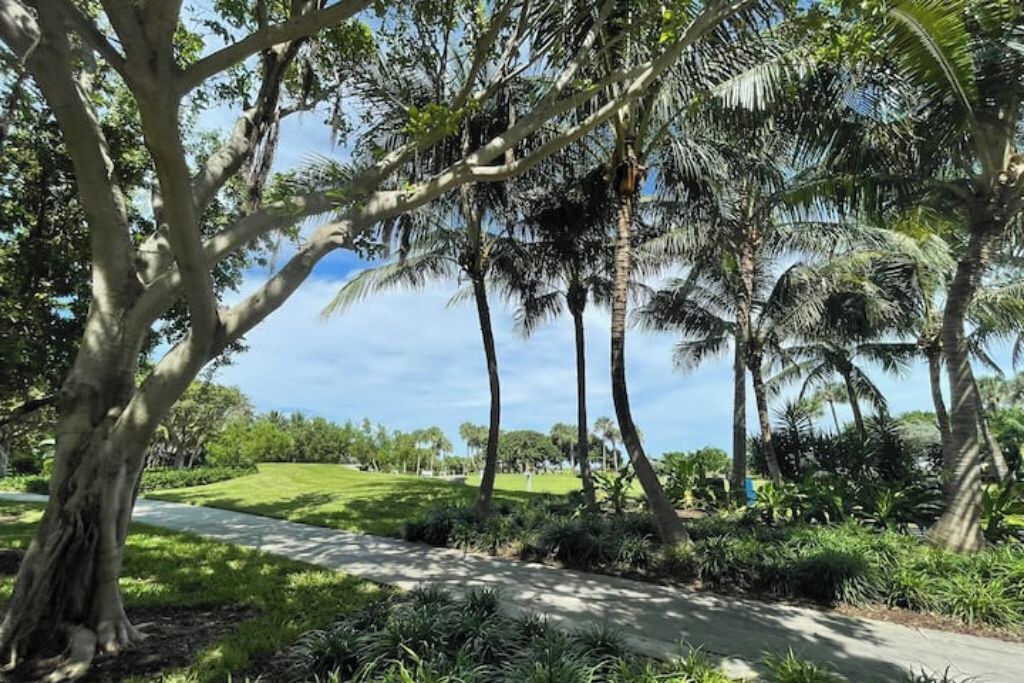 Photo of Outdoor in North Beach