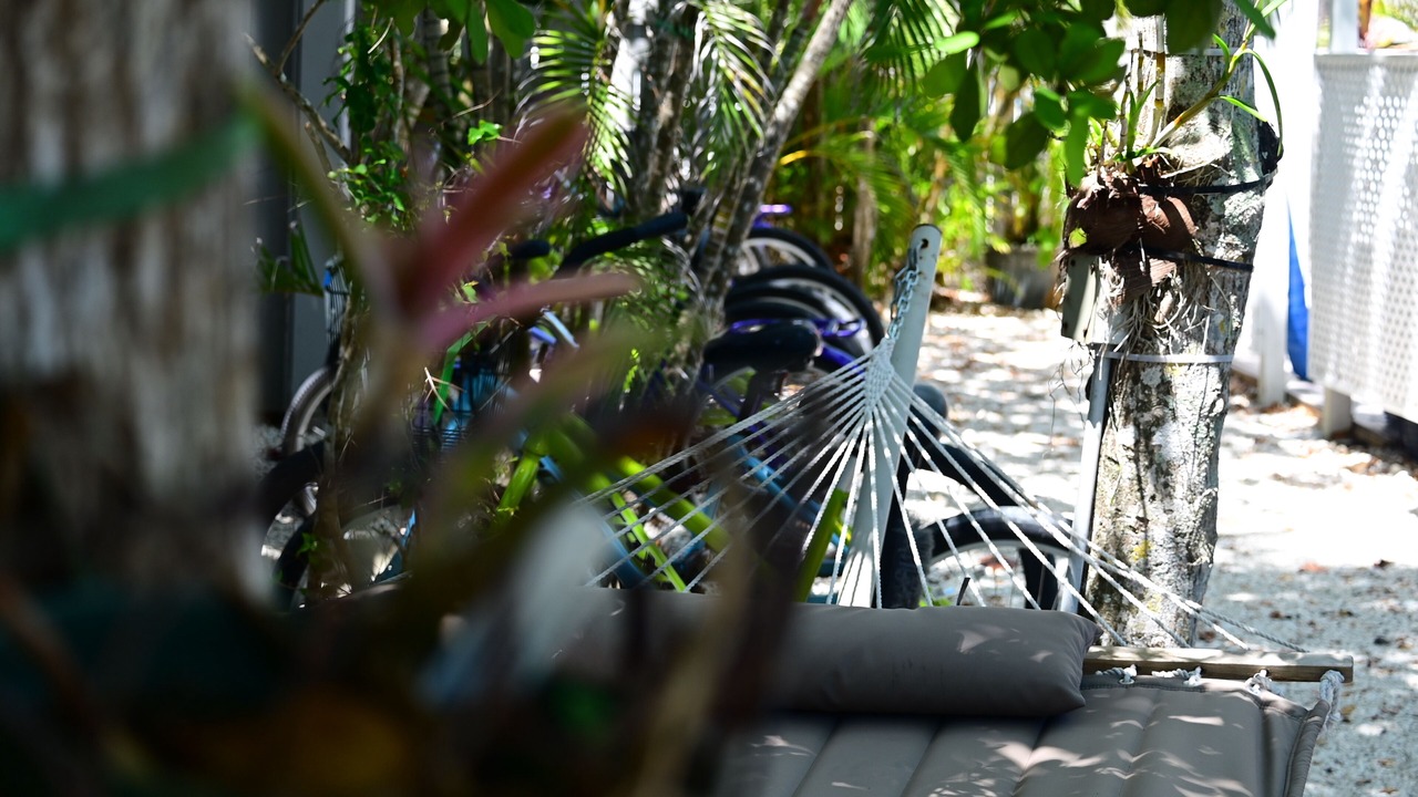 Photo of Outdoor in Sanibel