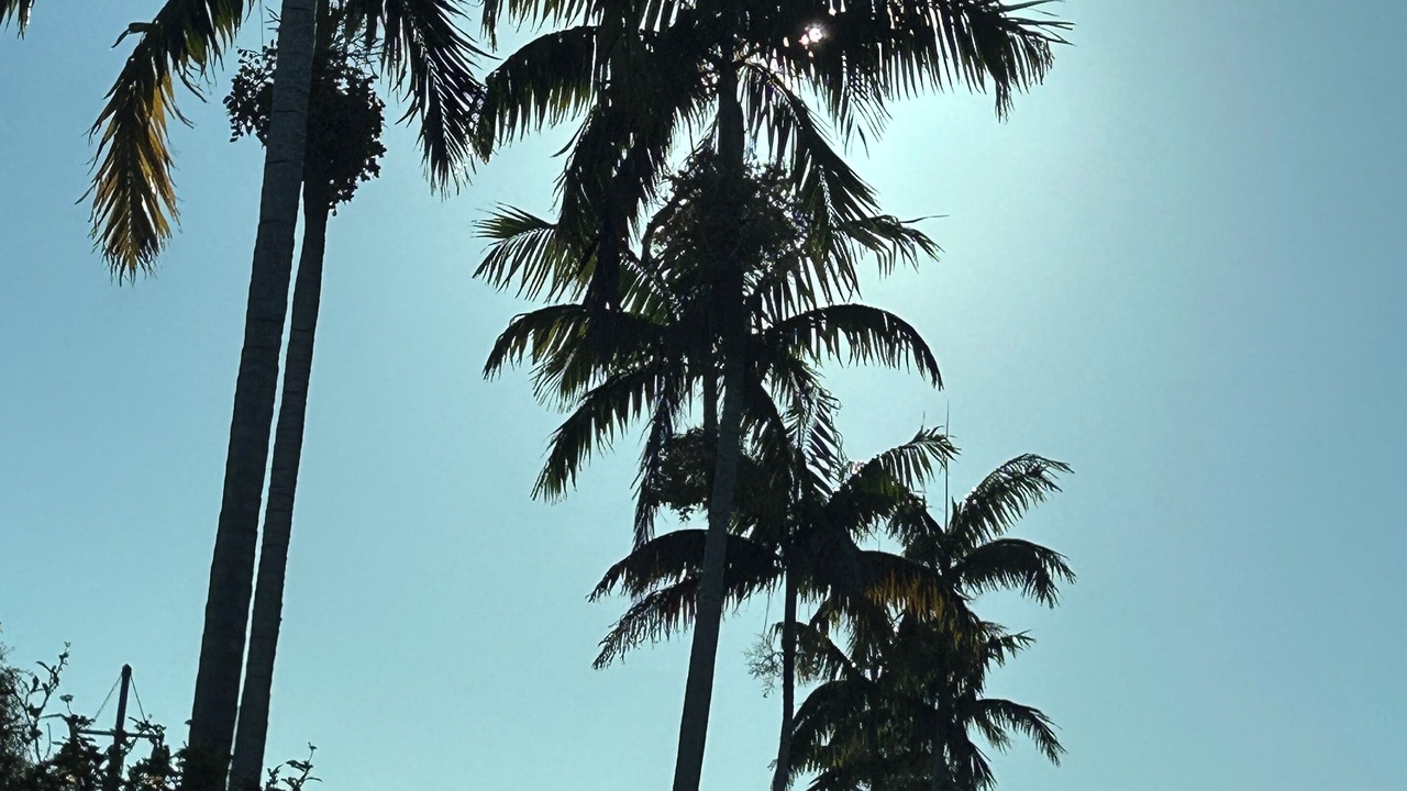 Photo of Others in Marco Island