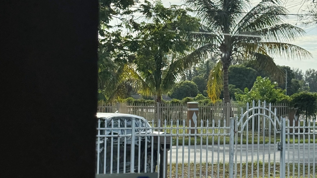 Photo of Others in Pinewood