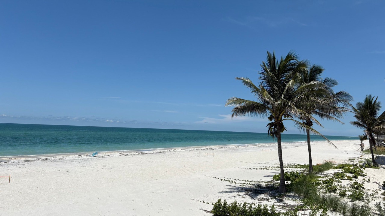 Photo of Others in Palm Island
