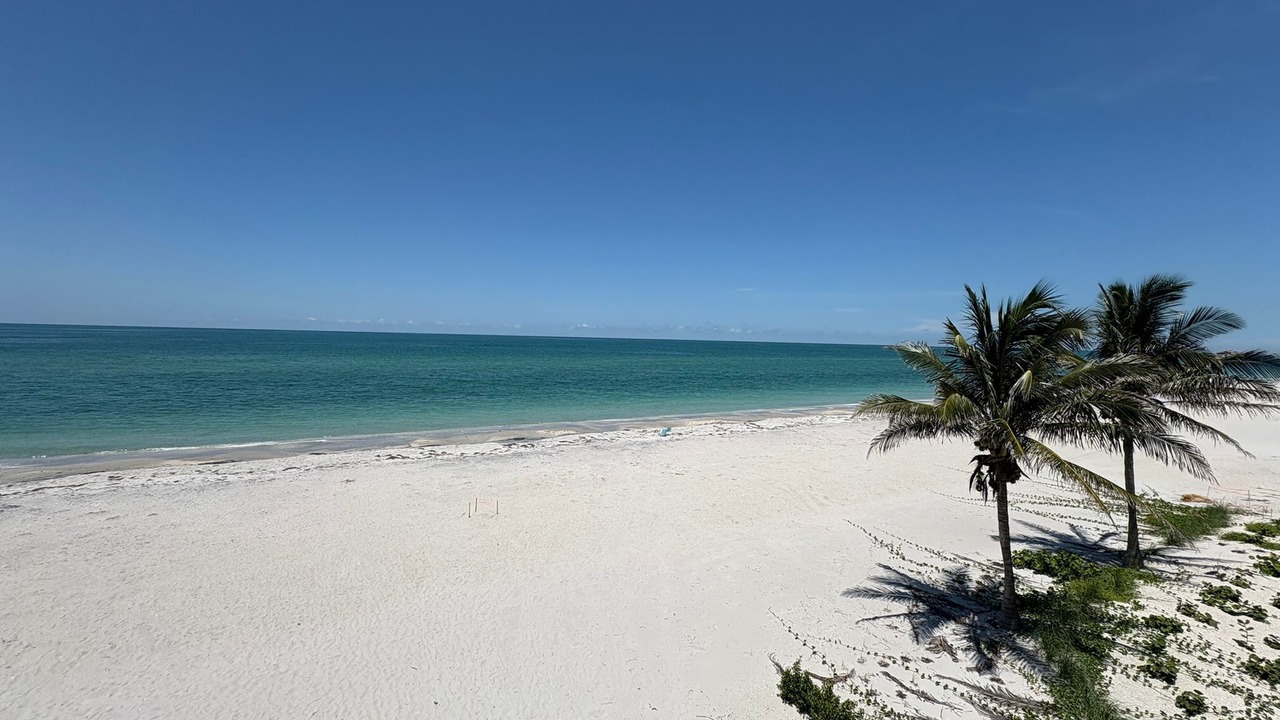 Photo of Others in Palm Island