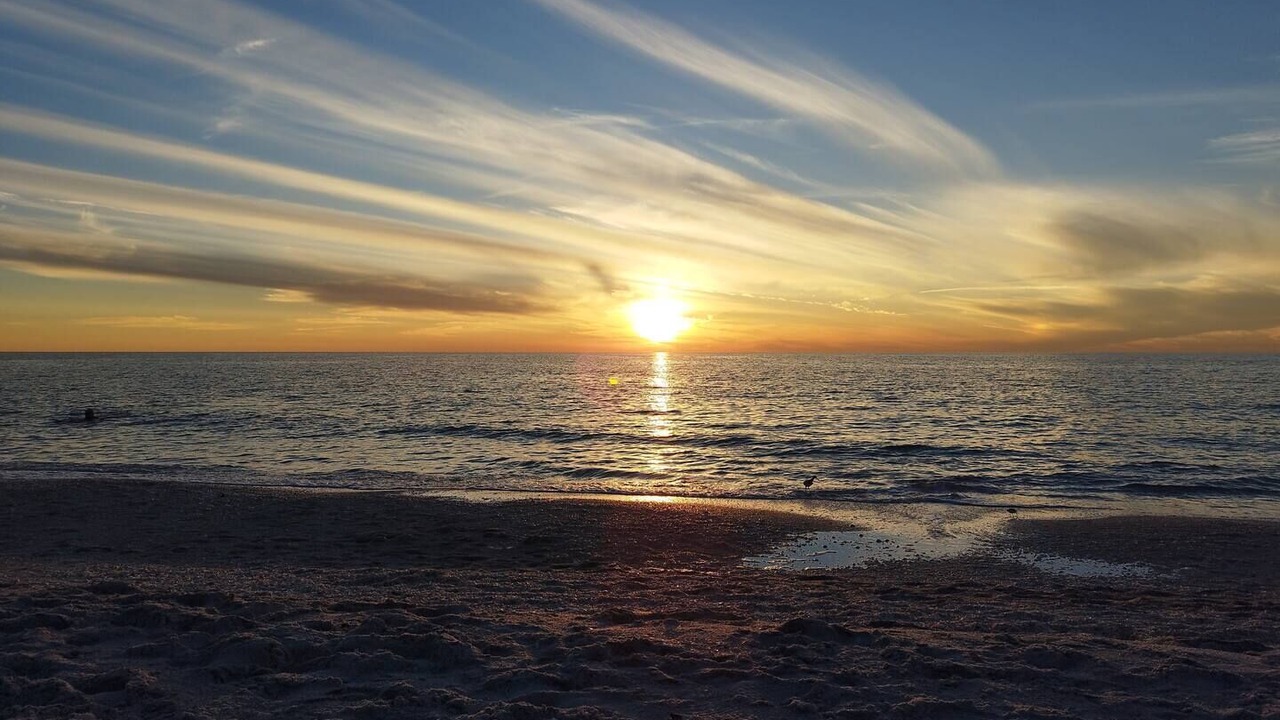 Photo of Others in South Gulf Cove