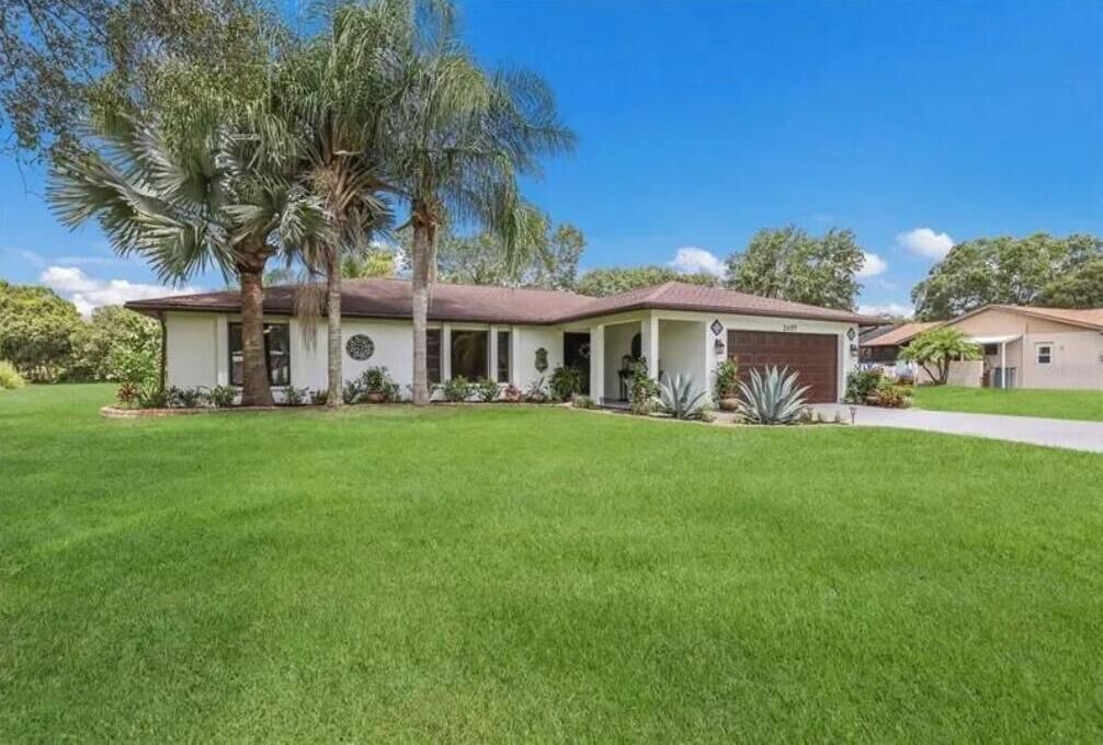 Photo of Outdoor in Braden River