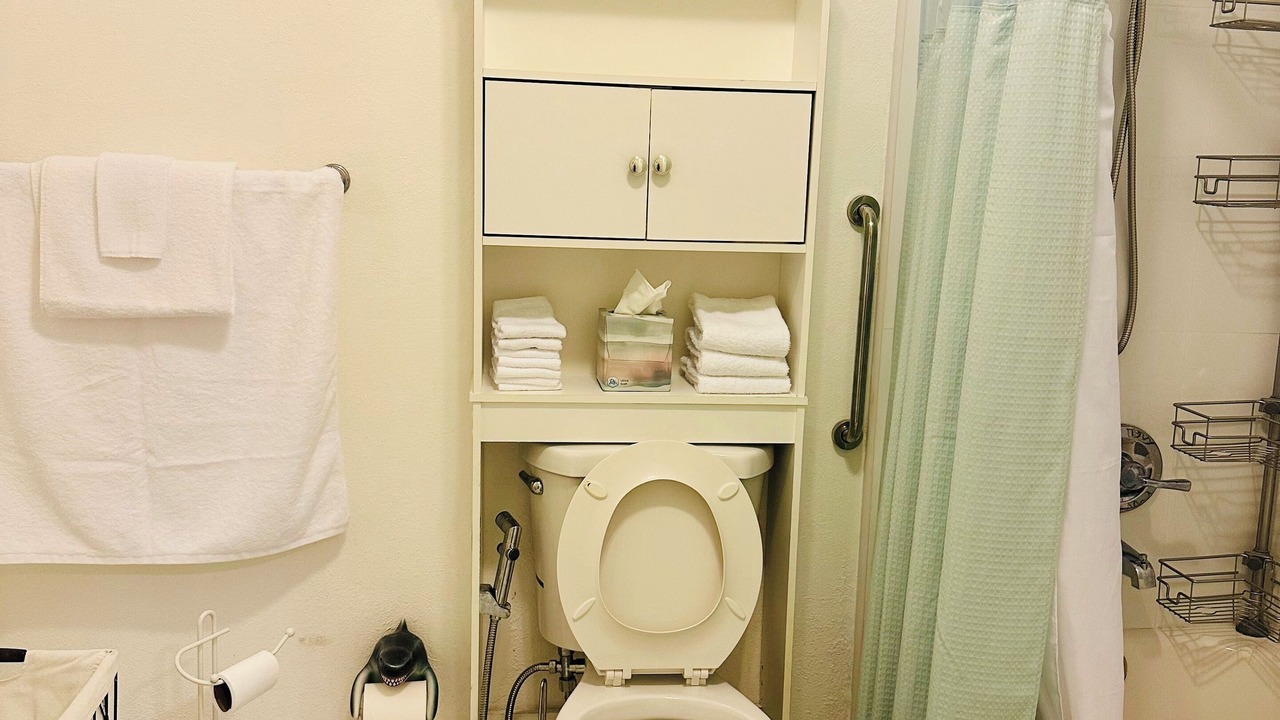 Photo of Bathroom in West Little Havana