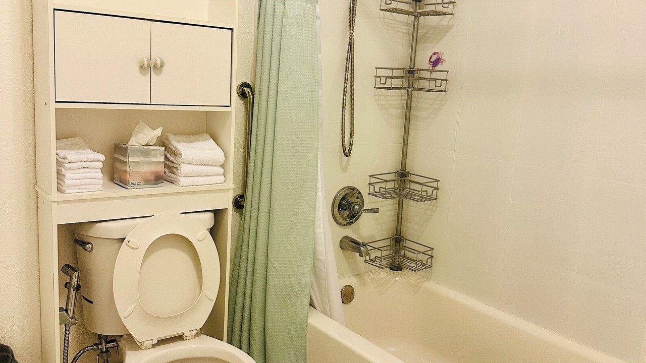 Photo of Bathroom in West Little Havana